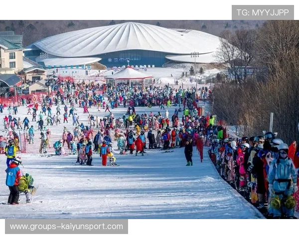 滑雪场旅游结合体育推广模式被多地复制 滑雪场旅游结合体育推广模式被多地复制